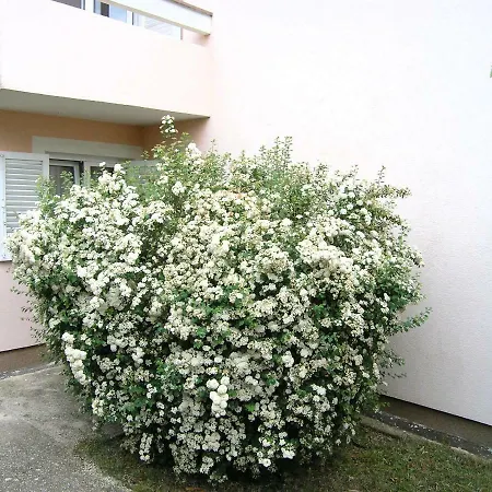 Sokolovic Apartment