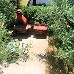 Sokolovic Apartamento