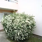 Sokolovic Apartment