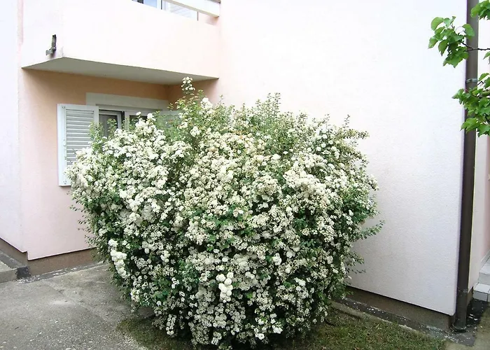 Sokolovic Apartament